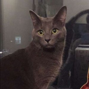 Meet your Posher, Scarlett